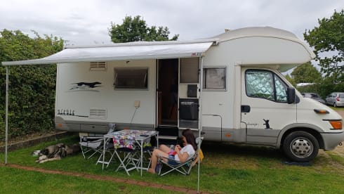 DARDAN – CAMPER MANSARDATO LAIKA