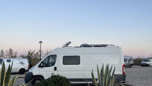 Perro – 2p Peugeot campervan from 2016
