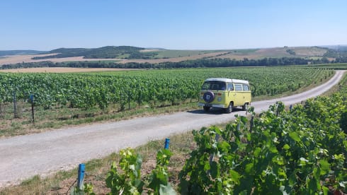 Ga op duurzame roadtrip met Lima! ⚡️🚐 – 100% Electric! ⚡️VW T2 "Lima"