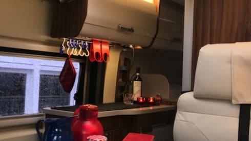 Soestdijk – 2 person bus camper from 2017, Roller Team Livingstone Prestige