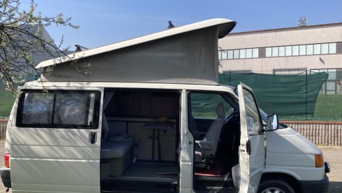 Kingston – My heart