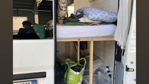 Chiara Previ – Simple wild life