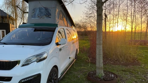 Evelynn – 4p Fixxter campervan from 2022