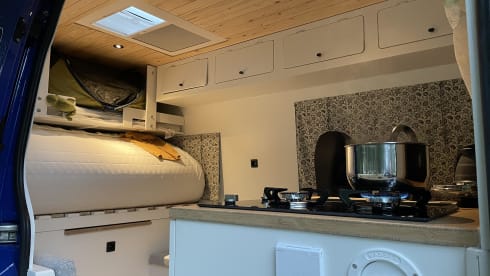 Volkswagen bus for duo or small family ready for a new road trip