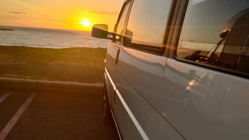 Pepita – T4 California Exclusive