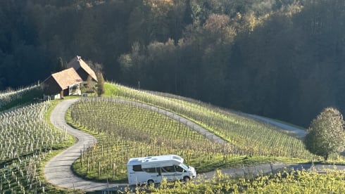 5p Benimar semi-integrated from 2023