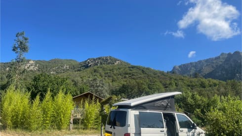 Surfbus Kees  – 4p Volkswagen campervan uit 2012