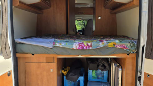 .malibu – 2p Carthago bus uit 2017