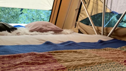 Toit Volkswagen 4p de 2018