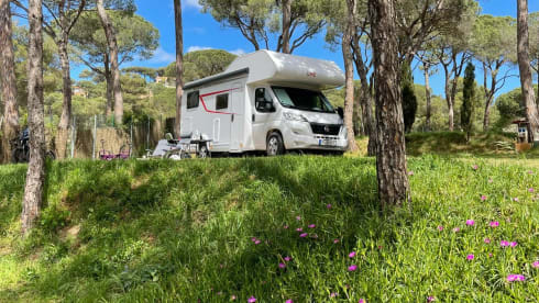 Alkoven – Wohnmobil Alkoven