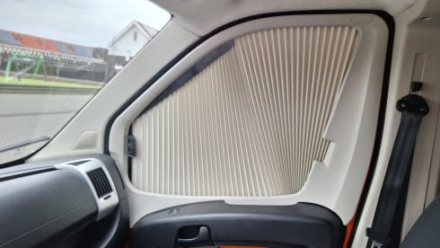 5 Person Fiat Ducato bus camper (built in 2017) (built in 2023)