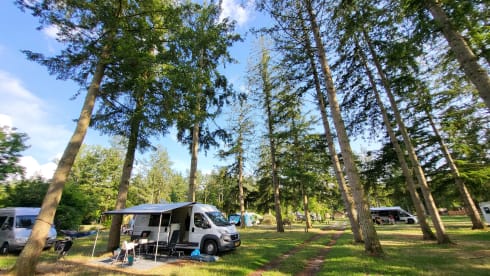 Pura Vida Van – 3-person bus camper built in 2023