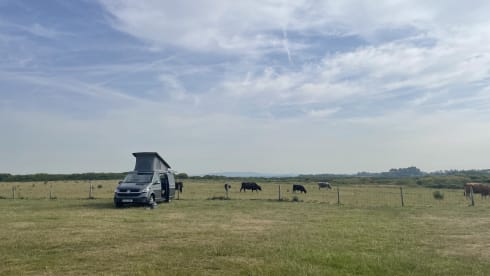 4 berth Volkswagen campervan from 2021