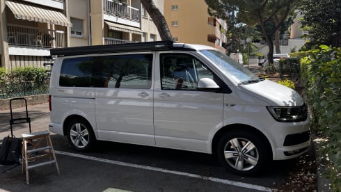 Le Poto Blanco  – T6 California Ocean