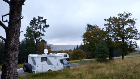 FreeLiving – AUTOMATIC with level system, extra long beds. ALSO WINTER