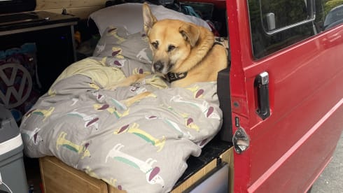 Emancipator  – 2 Berth VW T4 from 1997