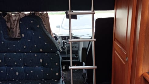 Roller team pegaso garage – Wonderful experiences await you