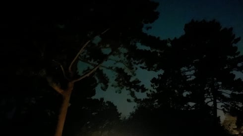 Billy – 2p Volkswagen camper from 1983