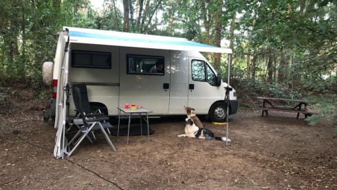 On an adventure with a reliable bus camper.