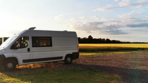 Dolly – 3p Peugeot bus uit 2013