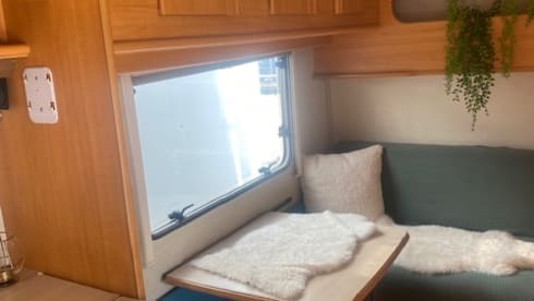 Trees – 6p Peugeot alcove from 1998