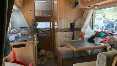 Hymer – Nice Hymer (alcove) camper with air conditioning and cruise control