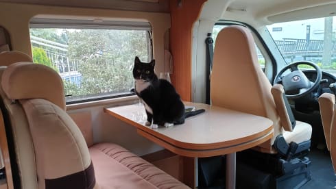 Golden Dream – Luxurious, bright, spacious, 4 pp Burstner camper