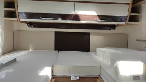 MC4 - 239 – MCLOUIS MC4 331