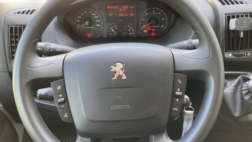 De Groene Waldi – Peugeot Boxer compact camper for rent