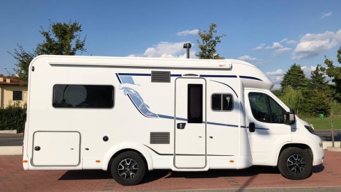 Mik – Bustner Delfin