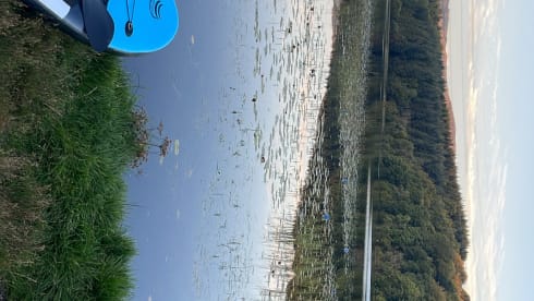 Bamboo Buck – Hashtagcampeurs 