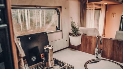 Big Benny – 4p Carado semi-integrated from 2024
