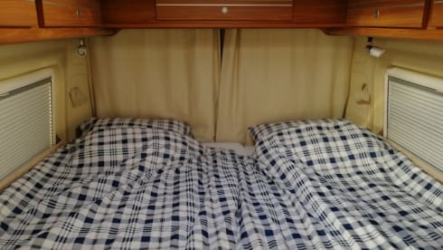 Bubble Globe – Camper autobus Fiat Globecar