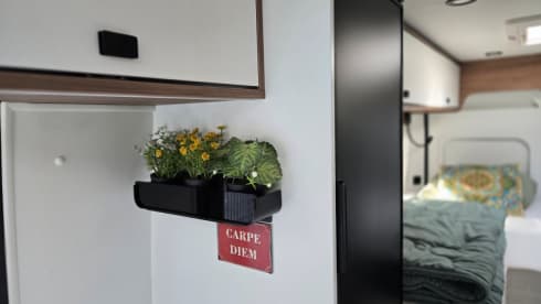 Pilote Xplorer – New bus camper Pilote Vega_630J