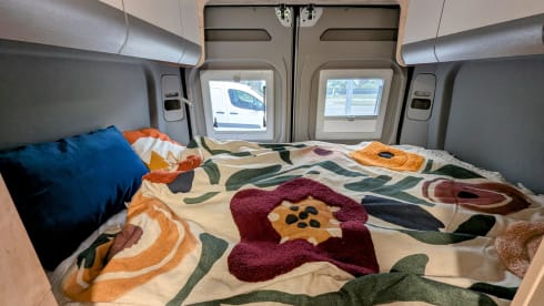 Willy – 4p Citroën Clever campervan uit 2024