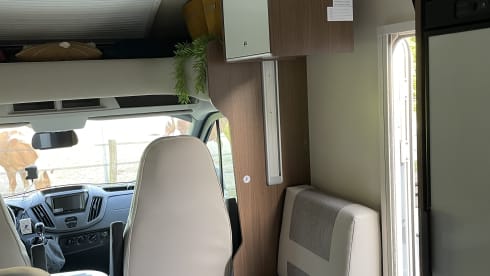 4p Roller Team semi-integrated from 2018