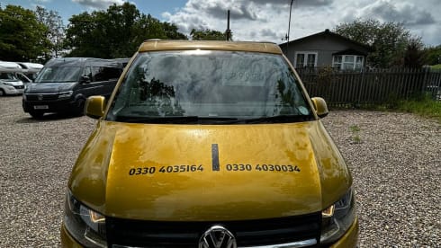 Goldie LONDON – RK69RPY - Adventure with Goldie, the 4 Berth Nomad Volkswagen, Romford