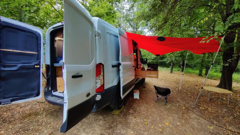 ons busje – 2p Ford bus uit 2015