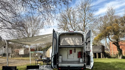 Hugo Away – Ford Transit Jumbo (Insurance included)