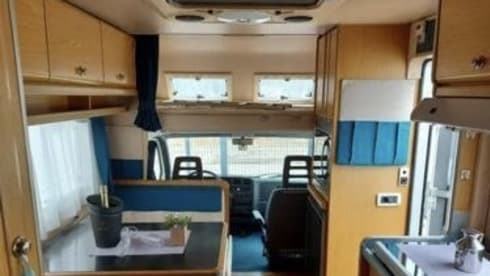 Laika Ecovip 3L in perfette condizioni.