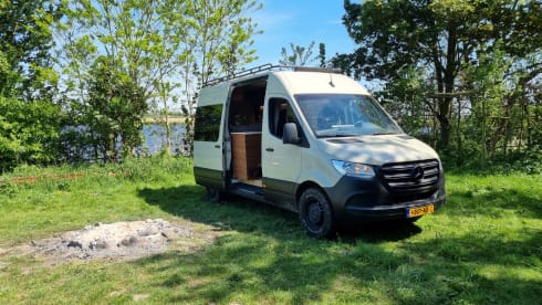 Sol – 2p Mercedes-Benz bus from 2019