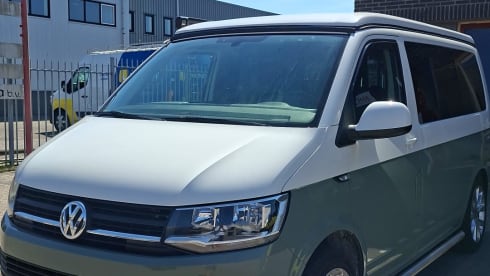 Green Adventurer – Volkswagen Transporter 4 places de 2016