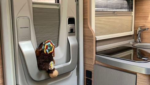 Whinni – Einsteigen, los fahren .... Urlaub!