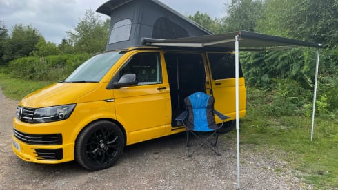 Bee – Meet Bee - VW CamperVan T6