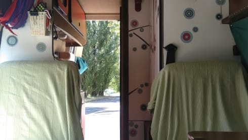 VanNino – A unique experience and a dive into the past? VanNino!