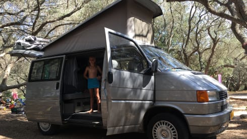 T4 California Camper