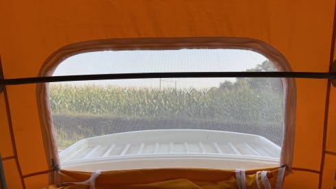 Joyo – 4p Volkswagen campervan from 1976