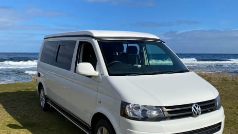 Happy Highland Camper