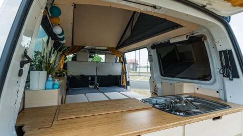 NEW Exclusive VW Bus Camper