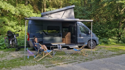 4p Knaus bus from 2025